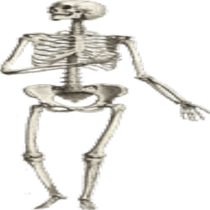 skeleton - transparent Roblox decal