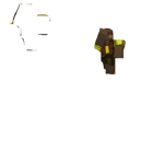 Devins Robux mom