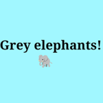 Grey Elephants :)
