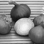 Gothic onions