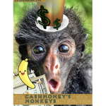 CashMoney’s Monkeys 🐵 💰