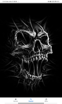 THE DARK PIRATS