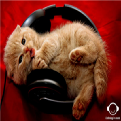 music kitten Roblox decal