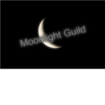 Moonlight Guild
