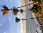 unboth3red-