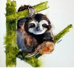 Sloth Snuggle