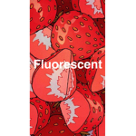 fluorescent clothing