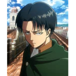 The Levi Army