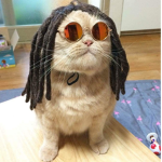#catgangLOL
