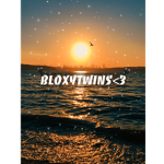 Bloxytwins!)