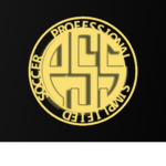 PSS | Professional Simplified Soccer