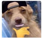 Sus panthers