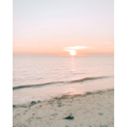 sea bearh