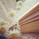 Lovely daisyss