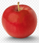 Apple's Studio