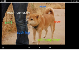 Doge Runner!