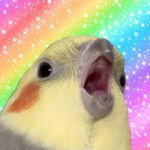 cult of the birbs