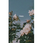A̶e̶s̶t̶h̶e̶t̶i̶c̶ G̶i̶r̶l̶