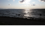 COFFI_pro234878
