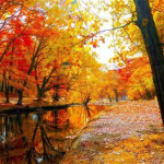 WeLoveSeasons