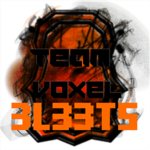Team Voxel 3L33T