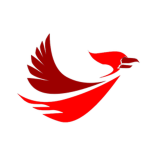 FIyRaven
