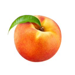Official Campeach Fan Group Hangout