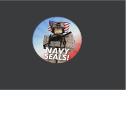 Navy Seals Traning