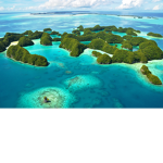 Ugly palauans 101