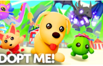 Adopt me BRO
