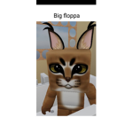 Floppis Floppa