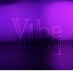 Vibe Room Inc