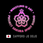 Project SAKURA  ❀ Sapporo-jō Dojo
