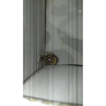 Pancho panfletos
