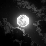 Moon Incorporated Inc.