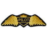 Pilots of Robloxia (P.O.R.)