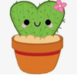 Plants ig