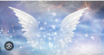 Lola’s Wonderful Angels