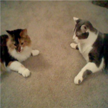My cats Roblox decal