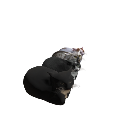 Carryable Cats! (Tool)