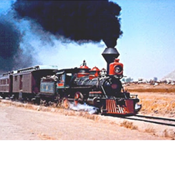 Wild Train