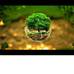 tree group c: