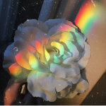 Weird and ####### peoples