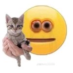 Ehnhendhndhddhb