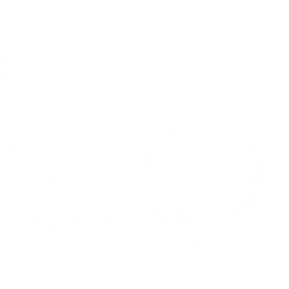 Glowing Starlight Emissive Wings (Angelic White)