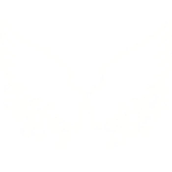 Glowing Starlight Emissive Wings (Angelic White)