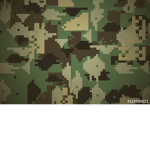 FSSE (ANTI ESSF CLAN)