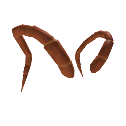 Reddish Brown Giant Centipede Antennae