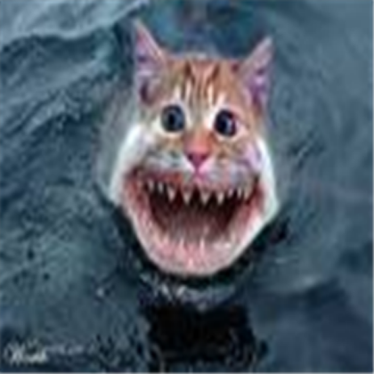Funny Catfish(take one its free!) Roblox decal