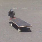 ~DarkFan~